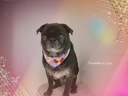 おじょうちゃん♀