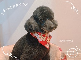 るんるんちゃん♀