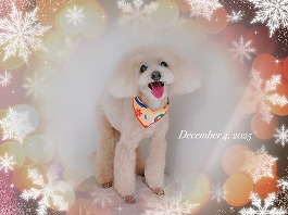 くっきいちゃん♀