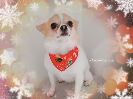 アムロちゃん♀