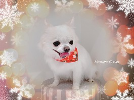 こうめちゃん♀