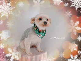 さくらちゃん♀