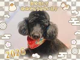 るんるんちゃん♀