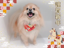 もみじちゃん♀