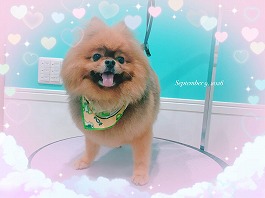 ラテくん♂