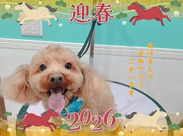 チャッピーくん♂