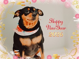 ワカメちゃん♀