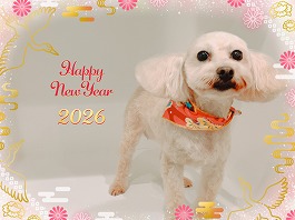 みるくちゃん♀