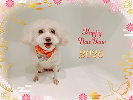 なな子ちゃん♀