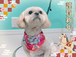 ひかりちゃん♀