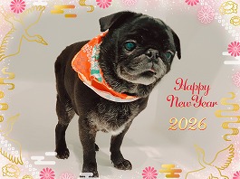 おじょうちゃん♀