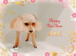 ふうかちゃん♀