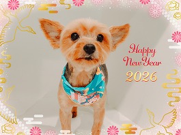 こうめちゃん♀