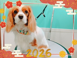 くるみちゃん♀