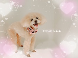 くっきいちゃん♀