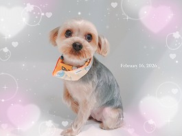 さくらちゃん♀