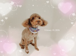 ミリアちゃん♀