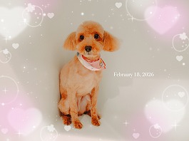 クレアちゃん♀