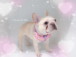 アーリヤちゃん♀