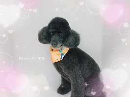 るんるんちゃん♀