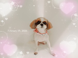 クロエちゃん♀