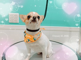 アムロちゃん♀