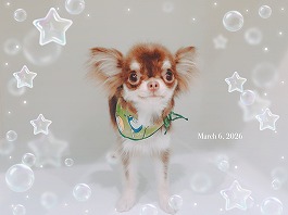 しずくちゃん♀