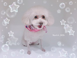 なな子ちゃん♀