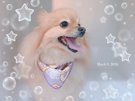 もみじちゃん♀