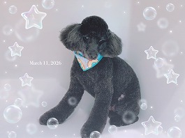 るんるんちゃん♀