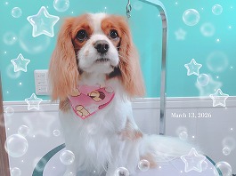 くるみちゃん♀