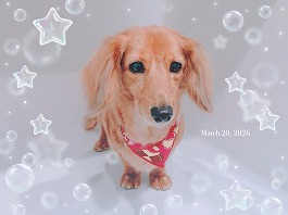 サンディちゃん♀