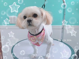 ひかりちゃん♀