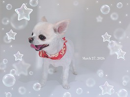 こうめちゃん♀