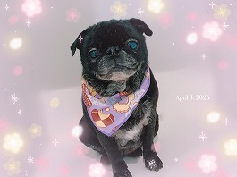 おじょうちゃん♀