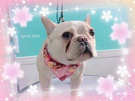 アーリヤちゃん♀