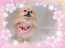 もみじちゃん♀