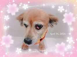 ハッチちゃん♀