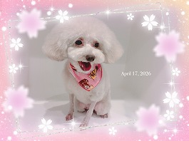 なな子ちゃん♀