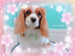 くるみちゃん♀