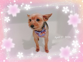 こうめちゃん♀