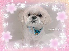肇くん♂