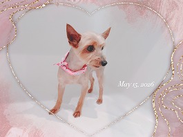 SOFIAちゃん♀