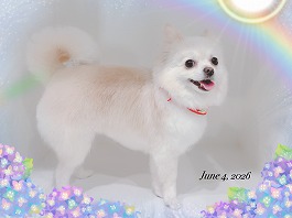 空ちゃん♀