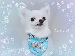 リクくん♂