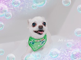 リムくん♂