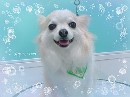 くうくん♂
