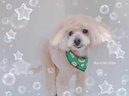 くっきいちゃん♀